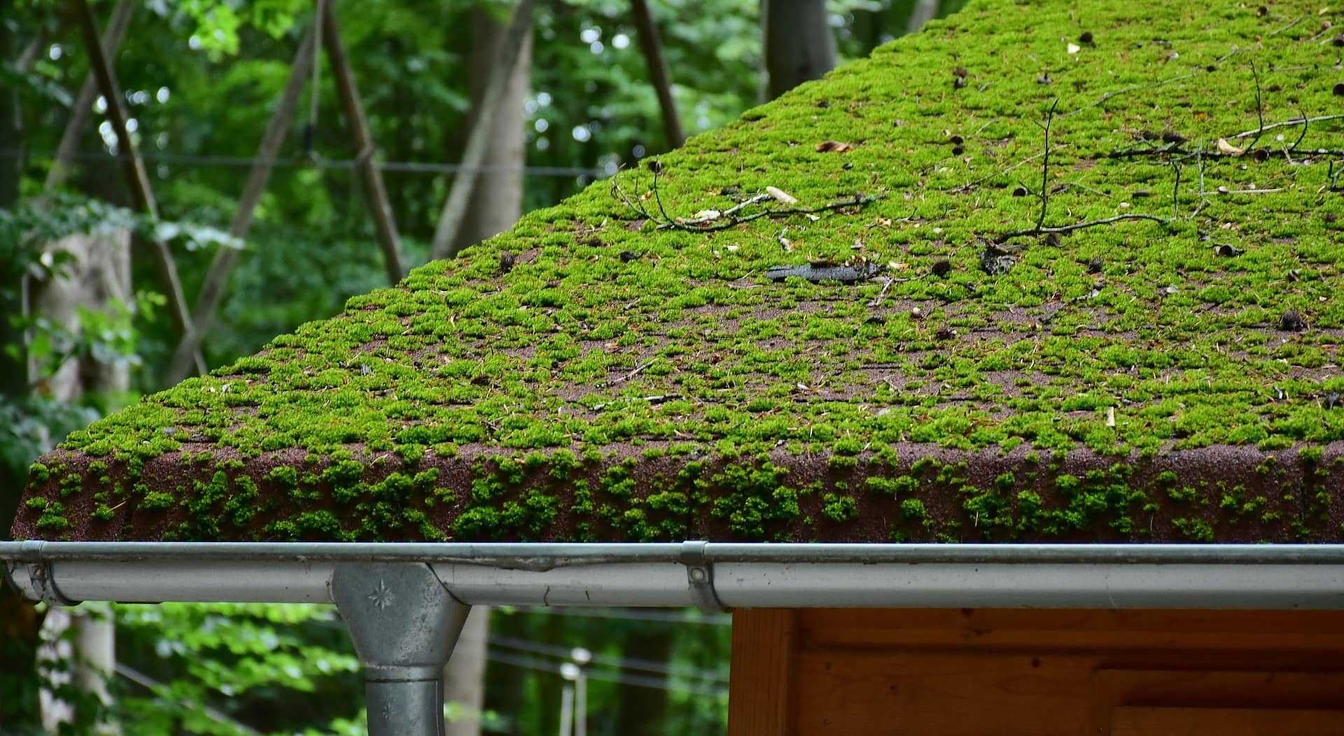 L’automne est un moment privilégié pour faire des rénovations au sein de votre habitation et pour être certain d’affronter l’hiver…au sec!
